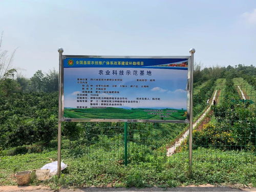 科技兴农 绿色强农 翠屏区农业农村局验收2019年科技示范基地